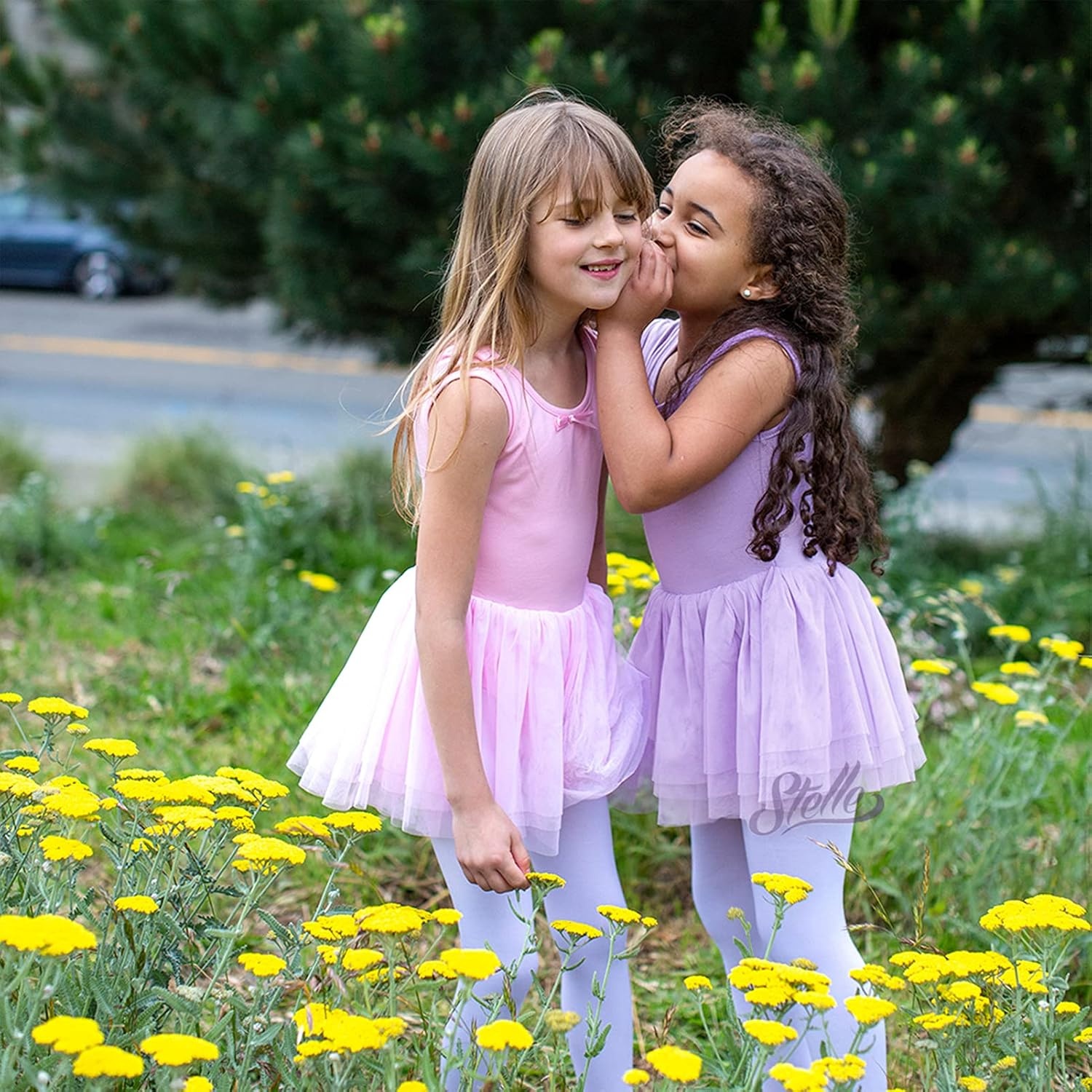 Stelle Puff Sleeve Ballet Leotards for Girls with Sparkly Tutu Skirted Toddler Dance Dress Outfit(02-sleeveless-purple)